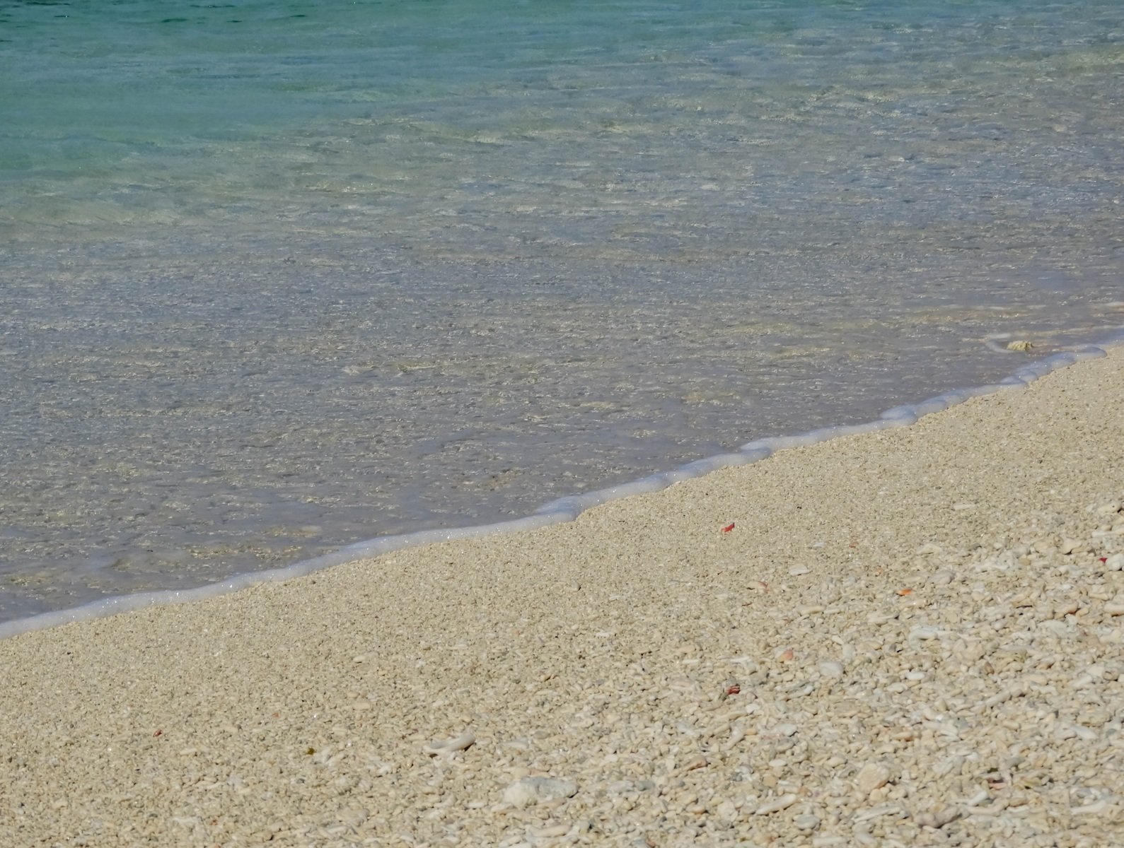 A Grade Digital - Wendy Bauer - Shoreline