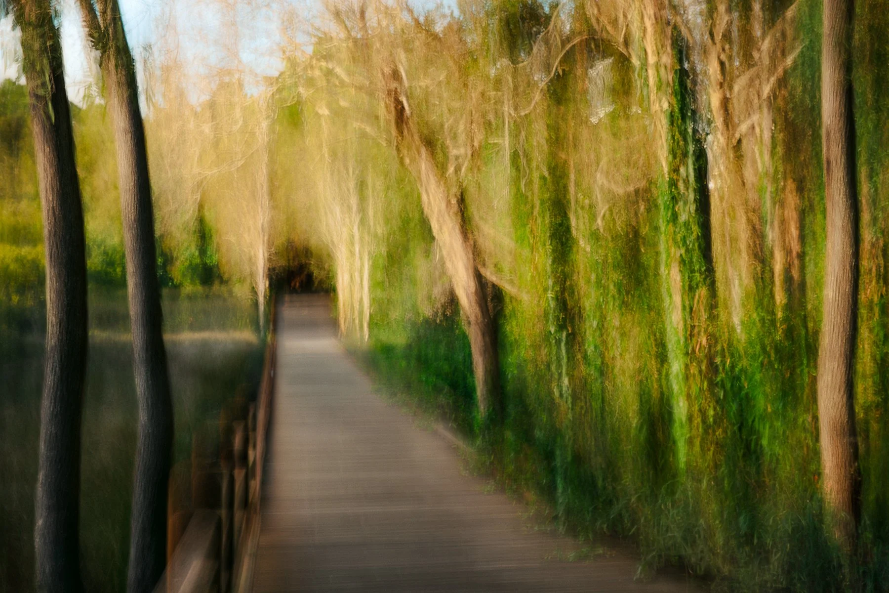 AB Grade Print - Kseniya Fox - Boardwalk in Morning Light
