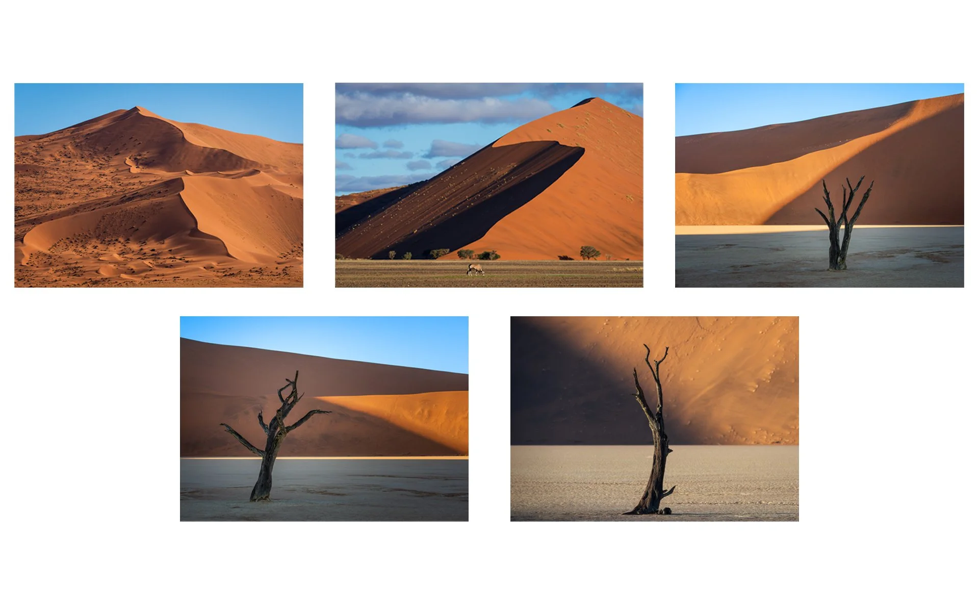 A Grade Print - Charlotte Steyn - Dead Valley