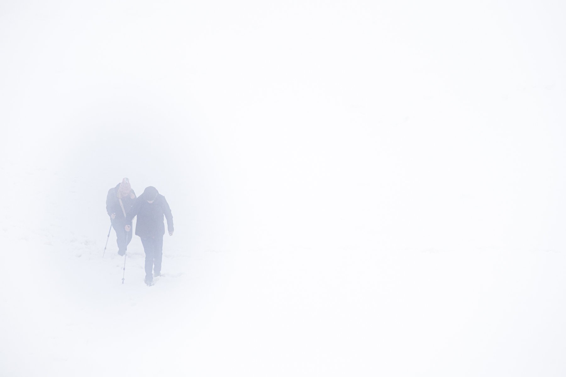 A Grade Digital - Paul Balfe - Whiteout