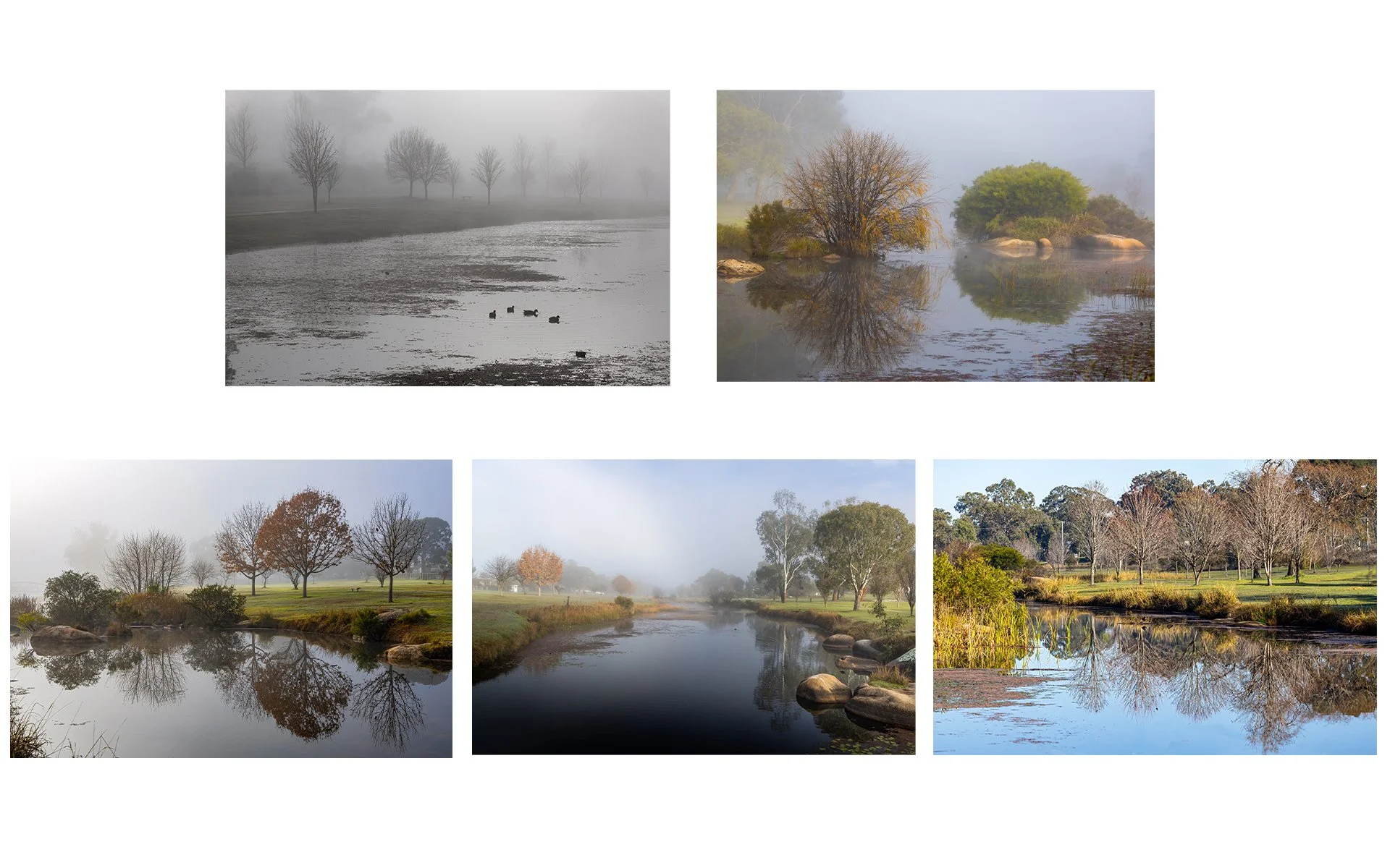 A Grade Print - Jeff Basley - Between Fog and Light