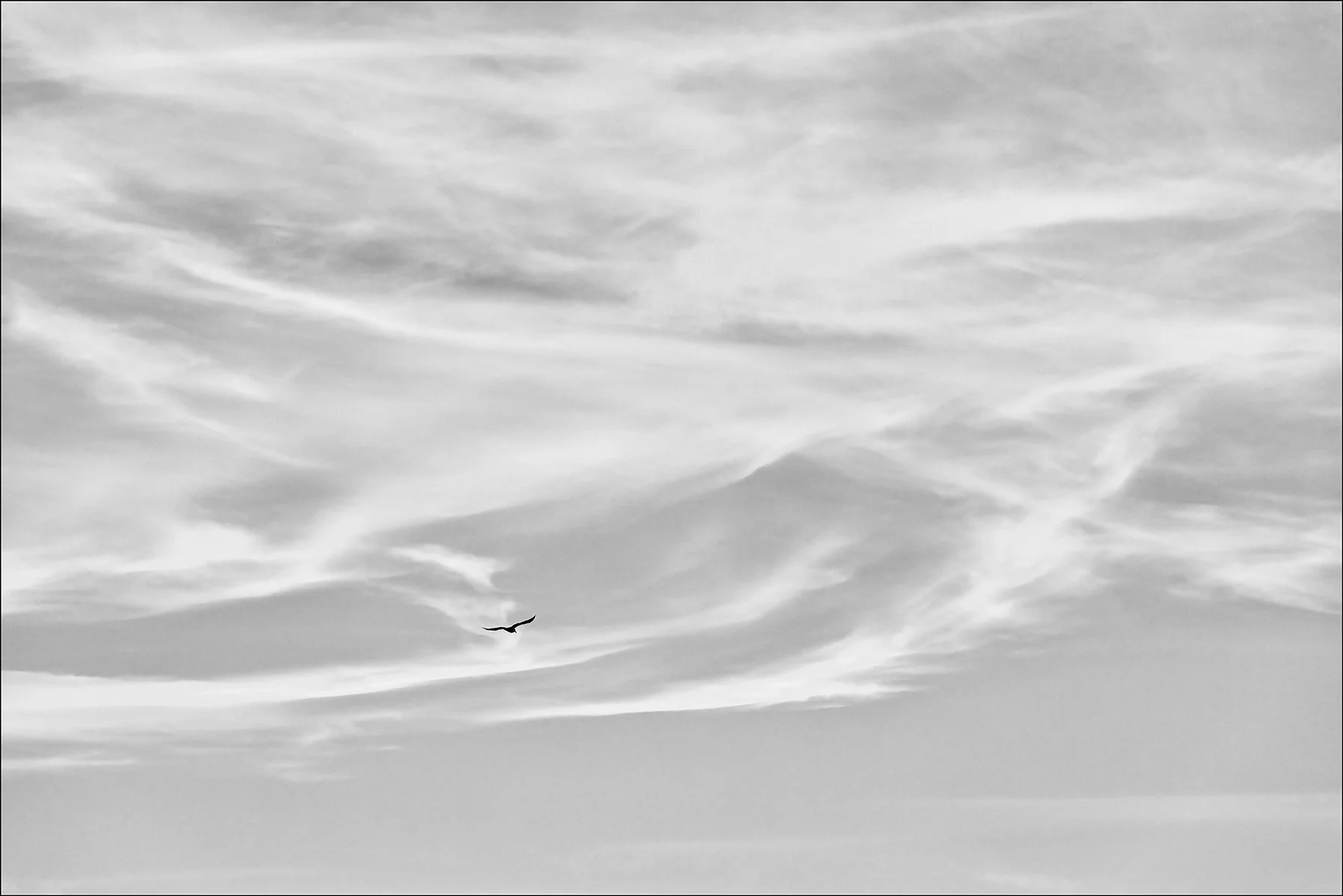 A Grade Digital - Steven Fraser - Solo Flight