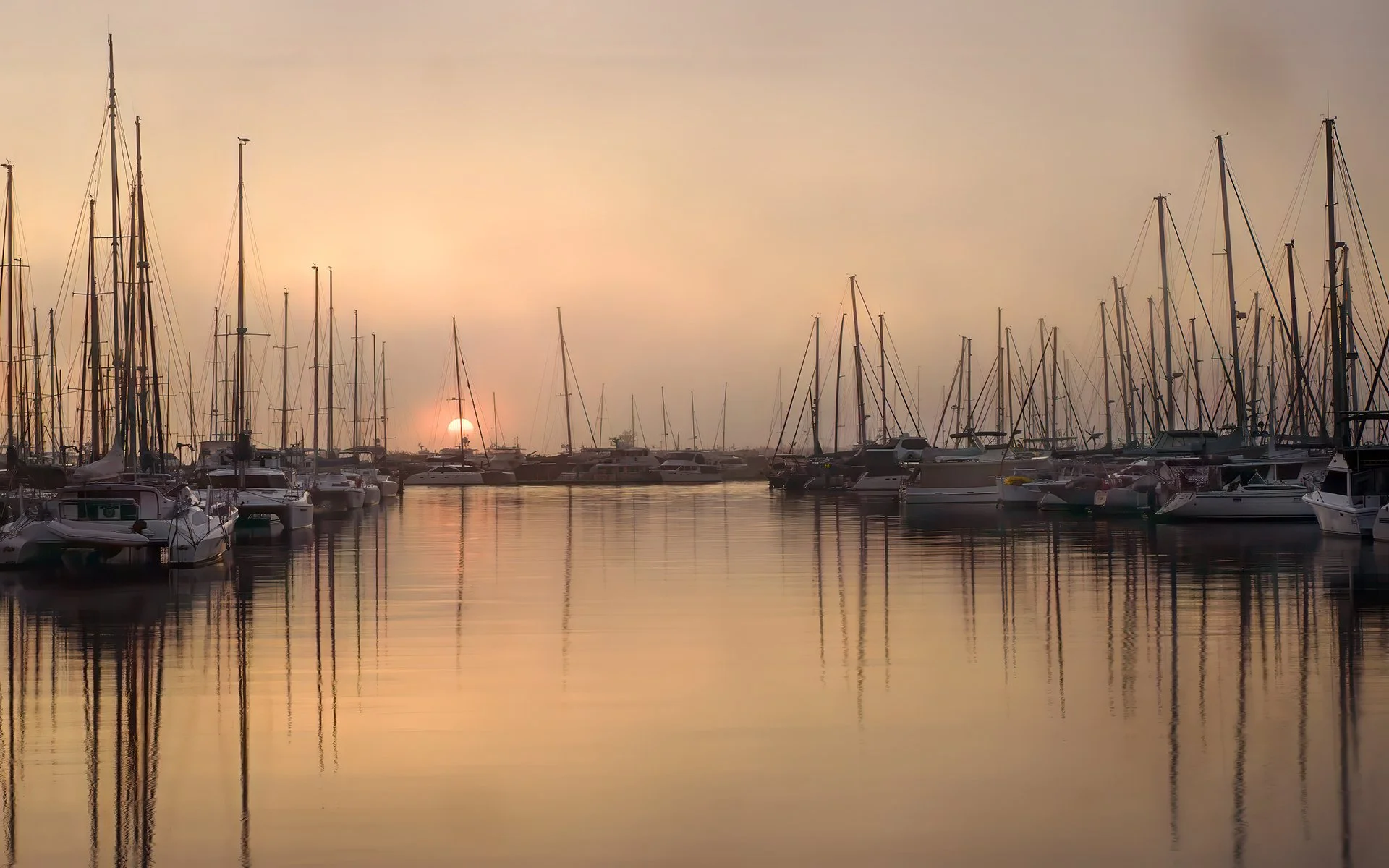 A Grade Digital - Gail Mooney - Sunrise At Manly