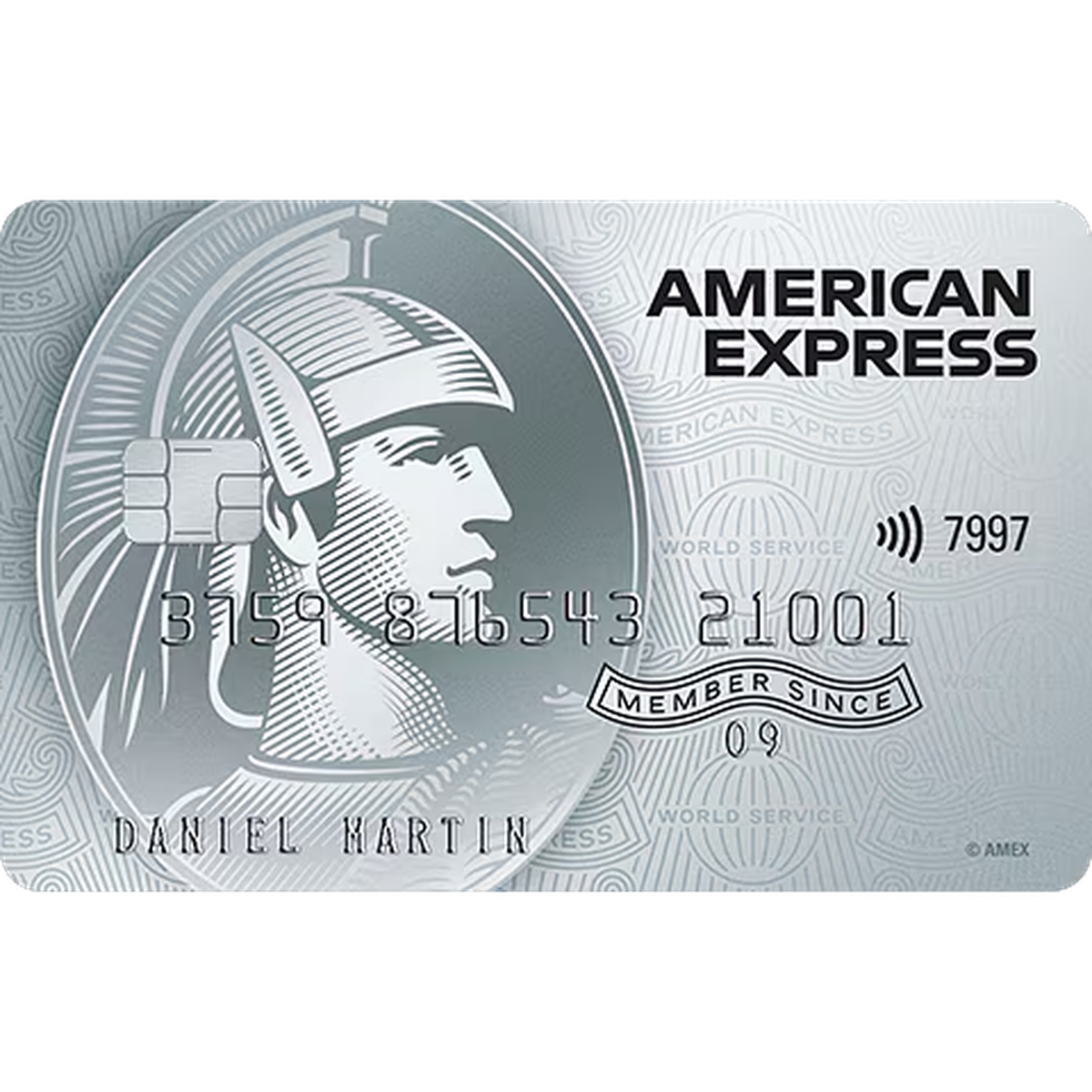 American Express Platinum Credit Card