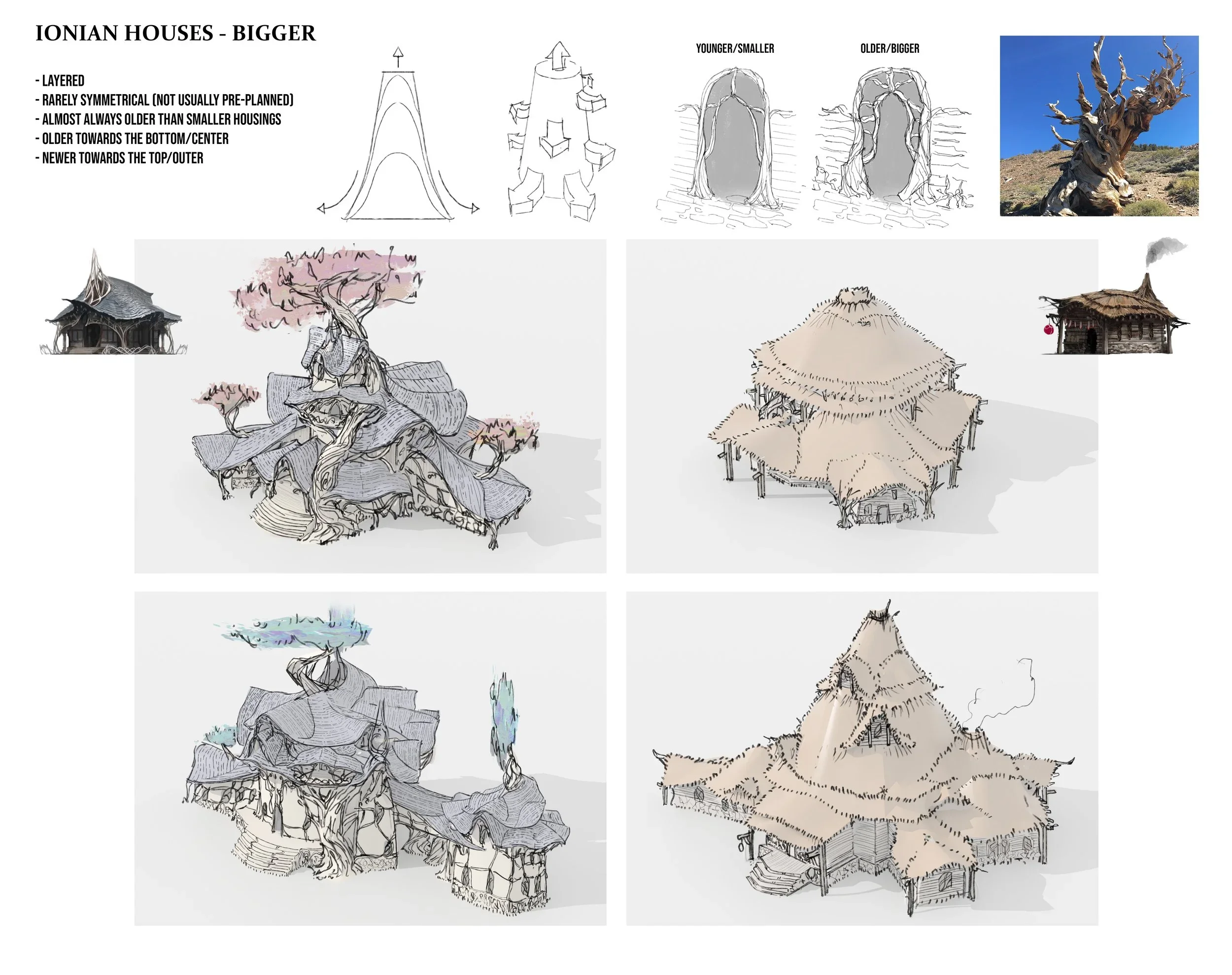 Diagram showing the characteristics of Ionian houses, including layered structure, asymmetry, older and larger size compared to smaller houses, with illustrations of traditional houses, including one with a thatched roof, a treehouse, and a structure