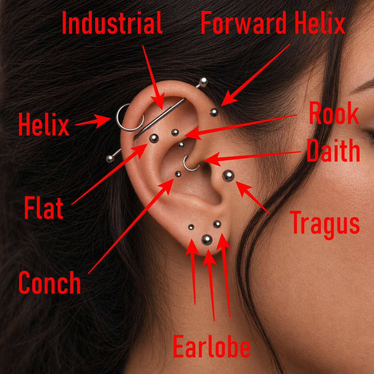 Close-up of a human ear with various piercings labeled in red, including Helix, Industrial, Forward Helix, Rook, Daith, Tragus, Earlobe, Conch, and Flat, with different types of jewelry such as hoops and studs.