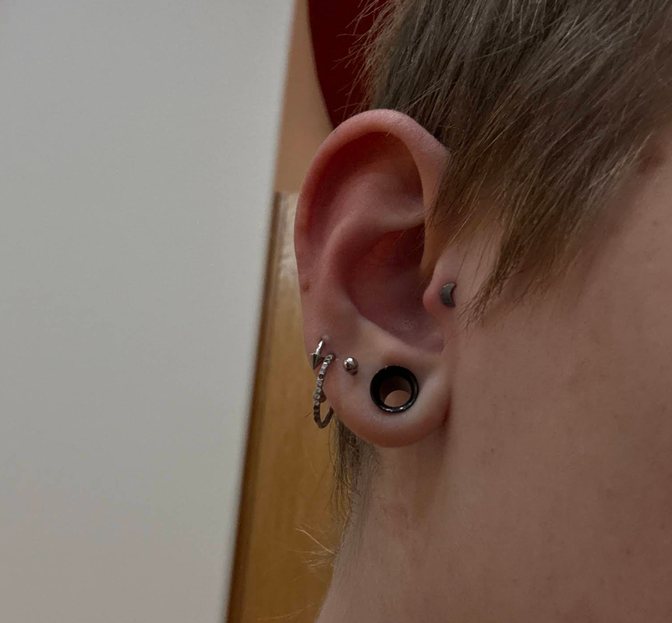 Close-up of a person's ear with multiple piercings and earrings, including a black tunnel, a silver ball, a small hoop, and a curved barbell.