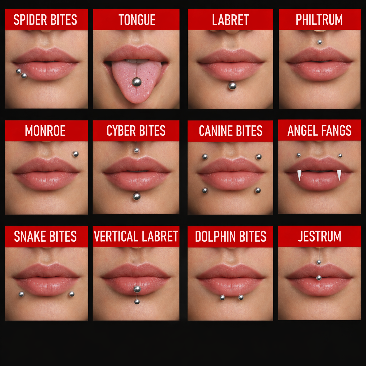 An infographic showing different types of lip piercings, each with labeled jewelry and corresponding placement on lips, including spider bites, tongue, labret, philtrum, Monroe, cyber bites, canine bites, angel fangs, snake bites, vertical labret, dolphin bites, and jestrum.