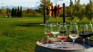 13th winery.jpg