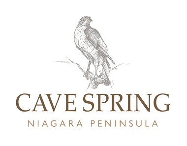 Cane_Spring_Logo.png