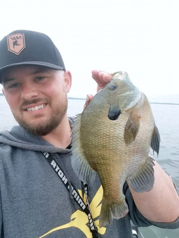 Madison Area Bluegill