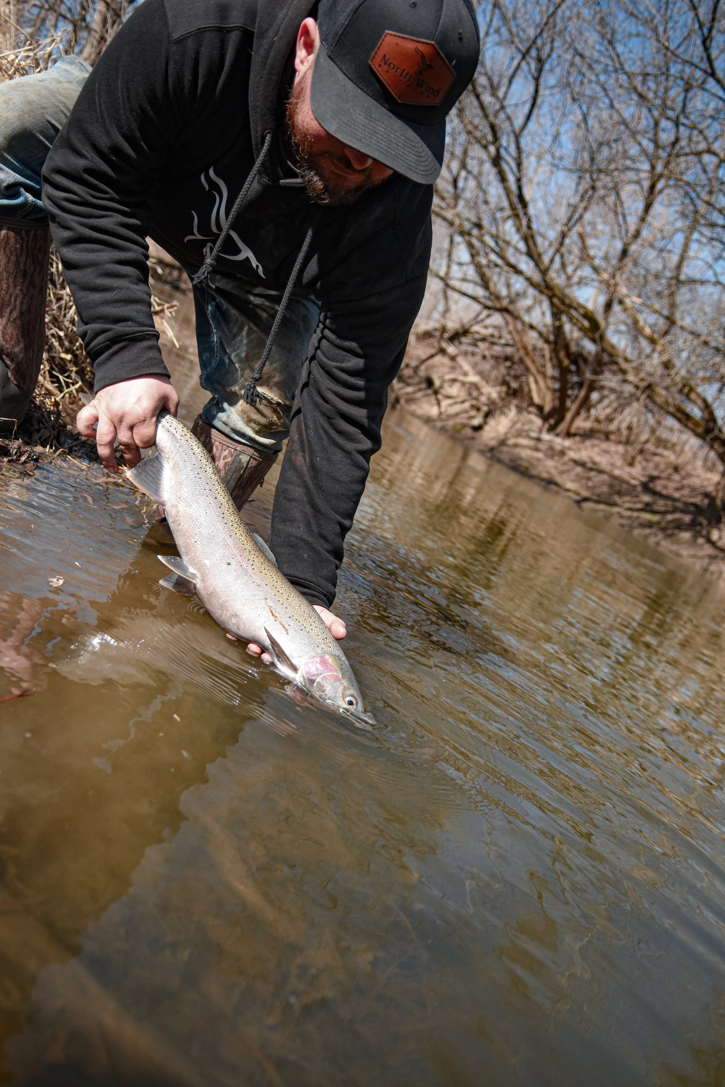 Last Cast Angling owner releasing steelhead in Southeast Wisconsin