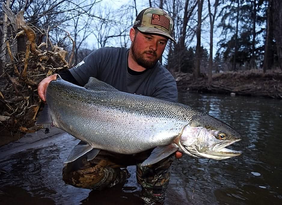 Spring Steelhead/Brown Trout