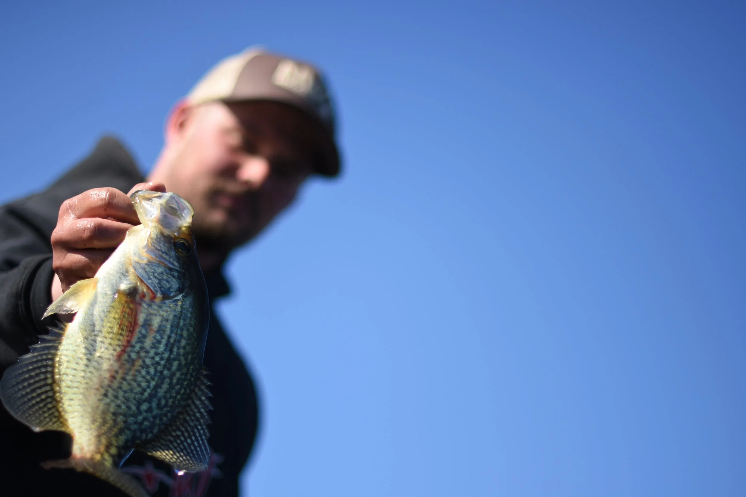Last Cast Angling fishing guide holding a large crappie in Southeast Wisconsin
