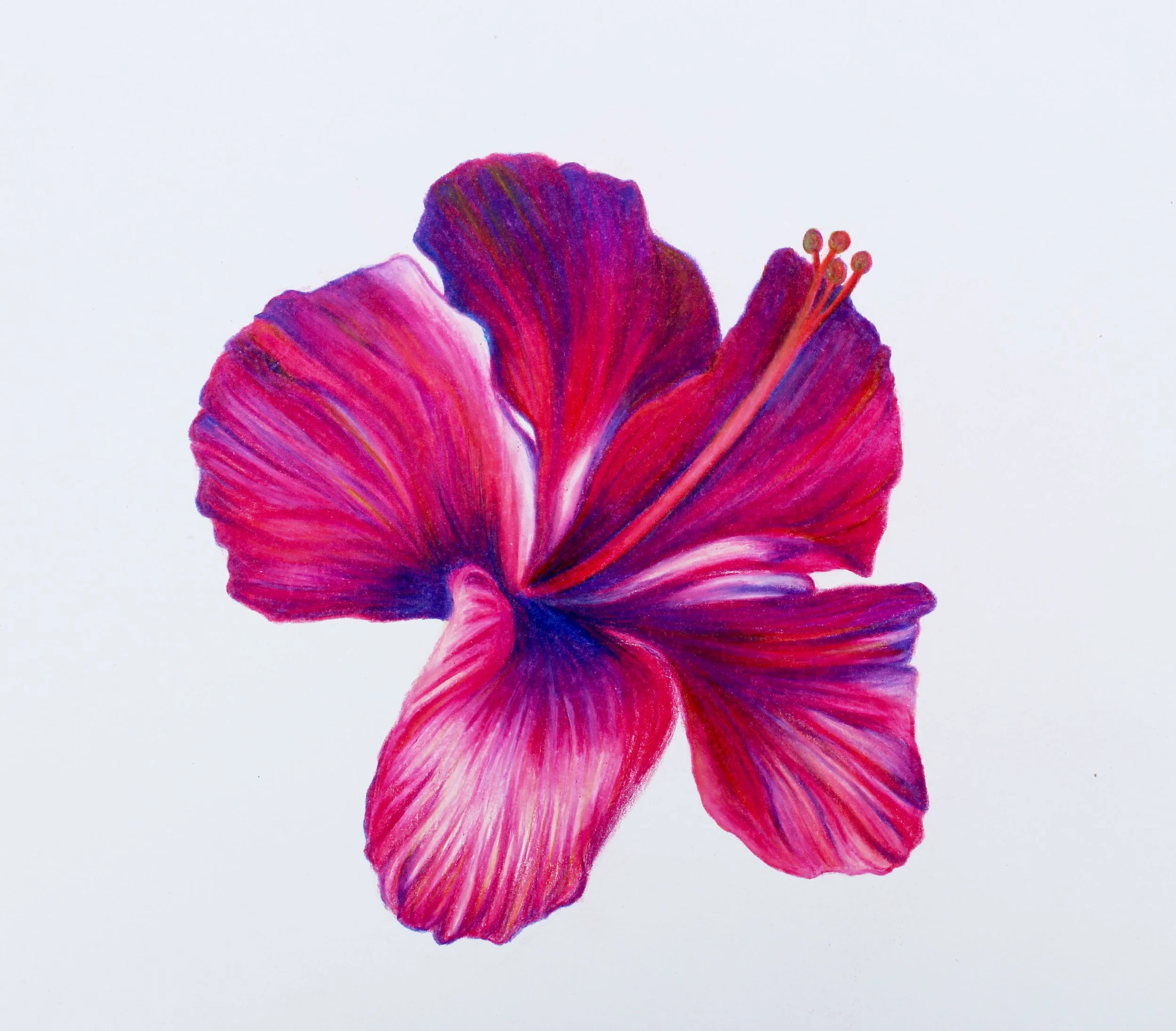 floweredited copy.jpg
