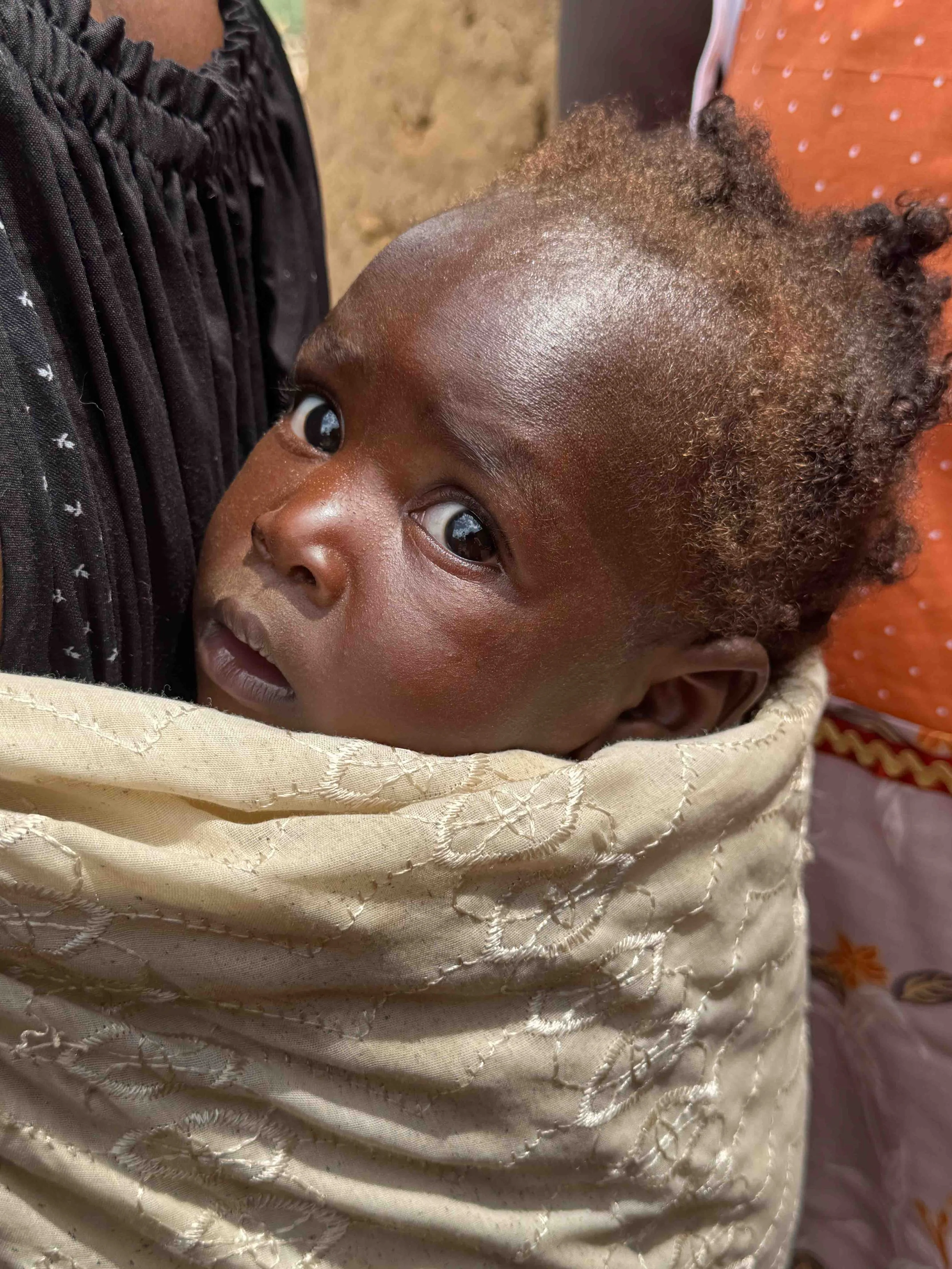 Spring 2025 Newsletter