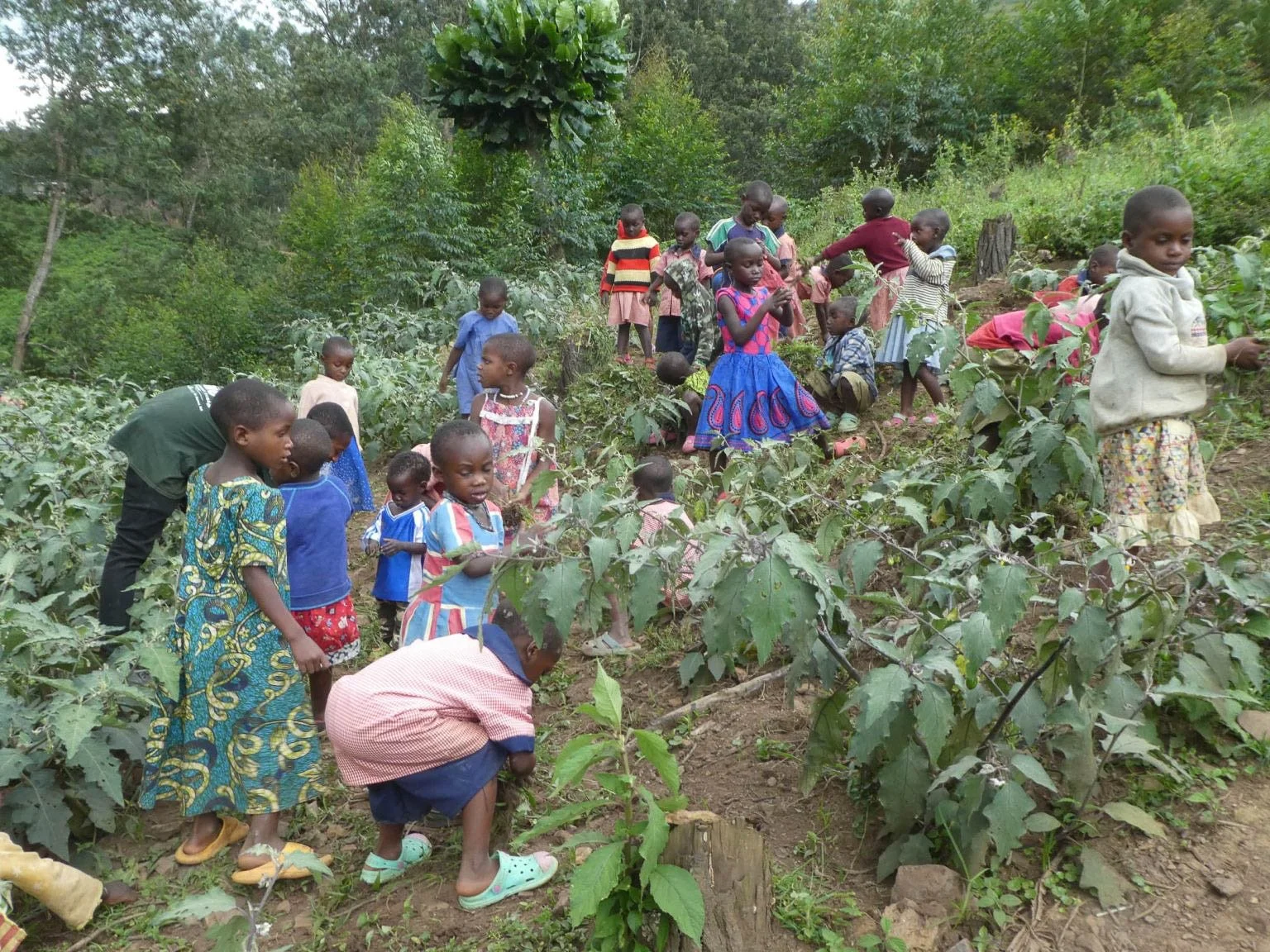 h2hintl-batwa-uganda-africa-children-nonprofit-uganda-22.jpg