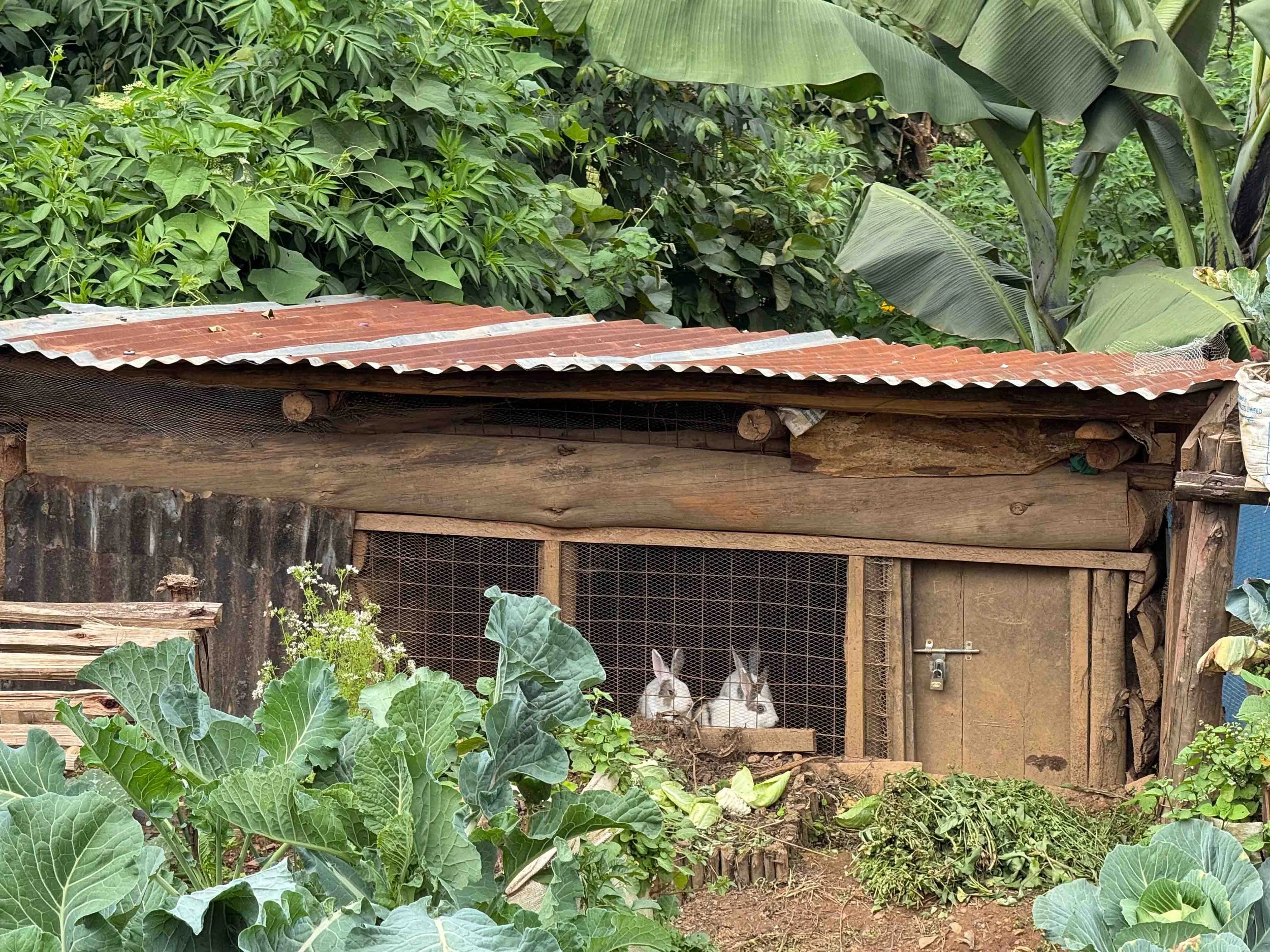 h2hintl-batwa-uganda-africa-children-nonprofit-uganda-12.jpg