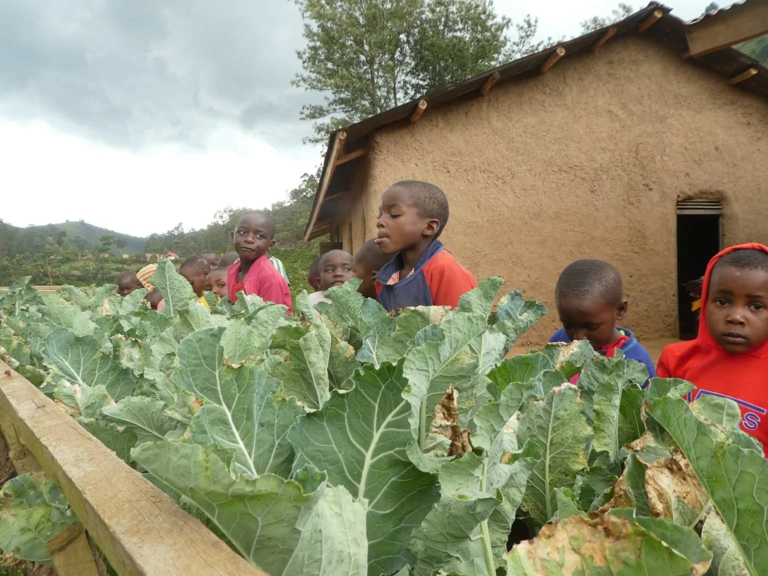 Children gardening in Uganda, Africa at the Heart 2 Heart School
