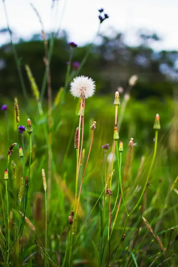 Thinking Critically About Unschooling