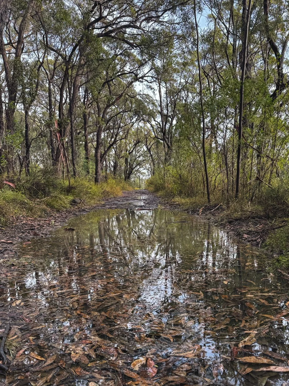 Unschooling Isn’t Freedom Gone Wild: Why Choices Matter More Than Ideals