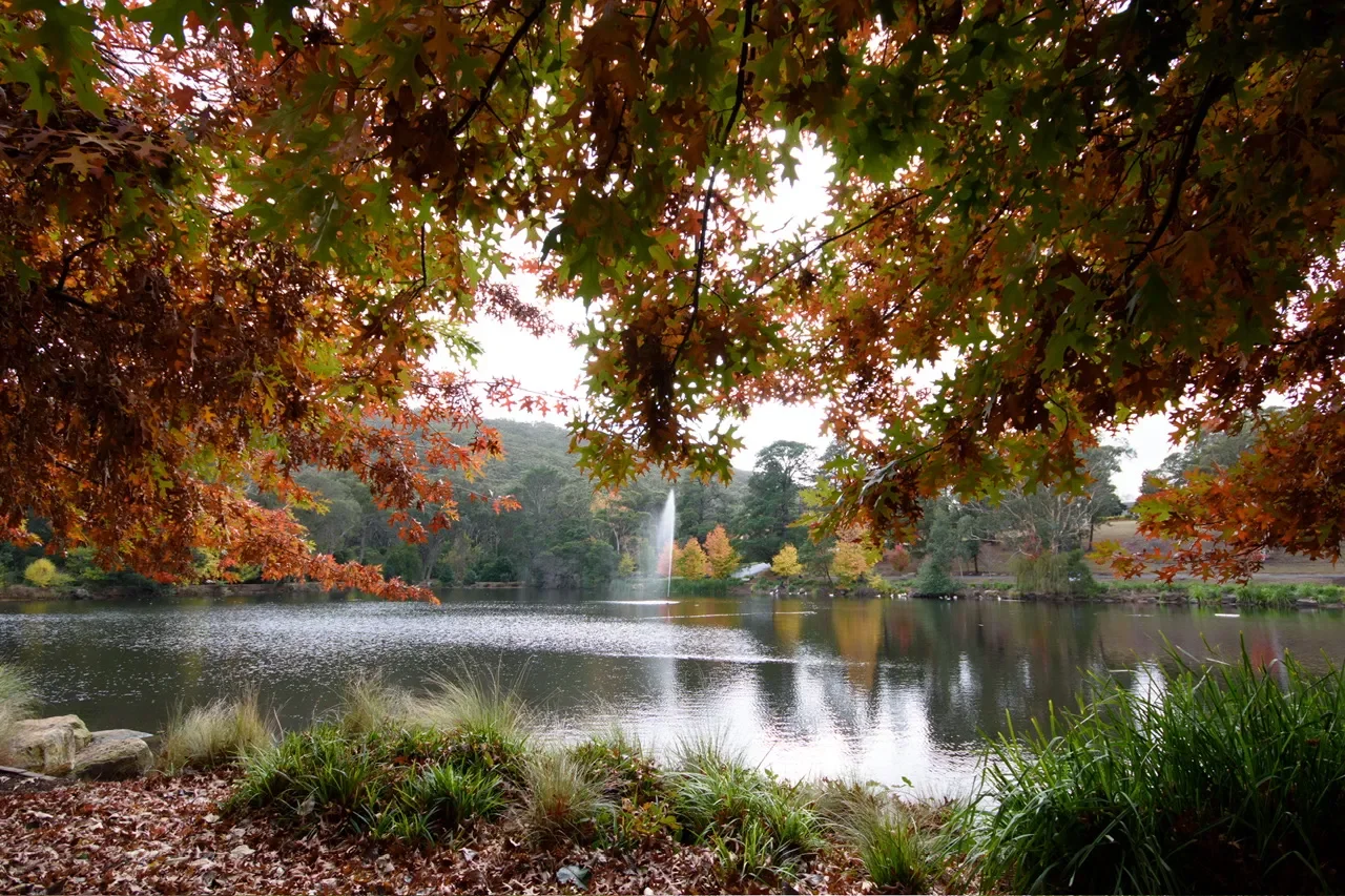 The Changing Seasons of the Unschooling Year