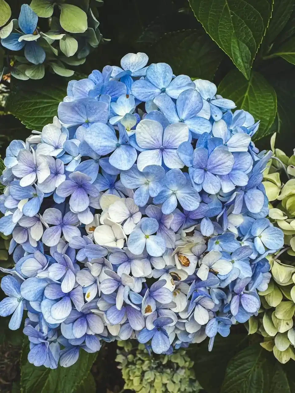 As the Unschooling Season Changes