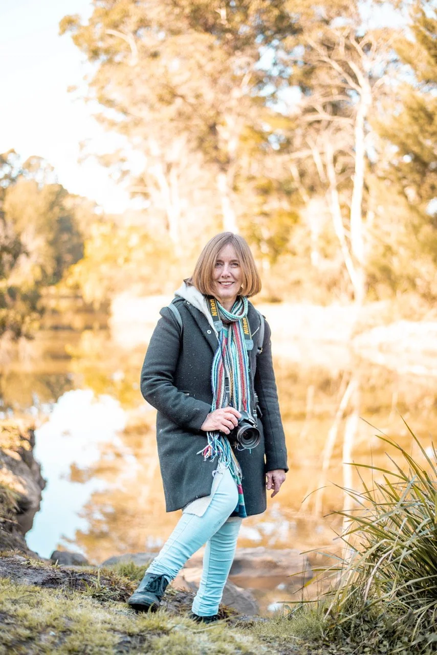 The Wise and Sparkly Older Gang