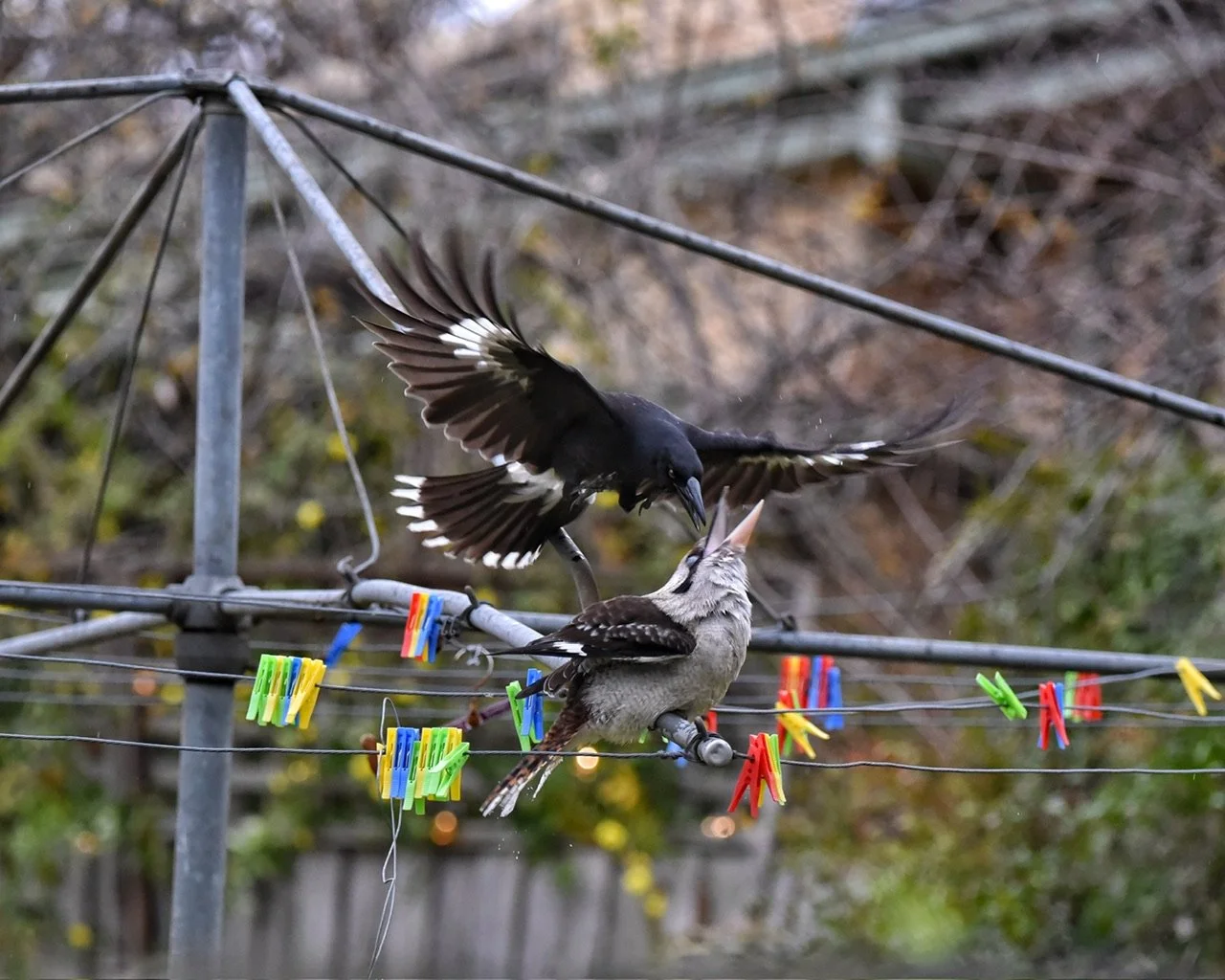 Silence and Slow</em>