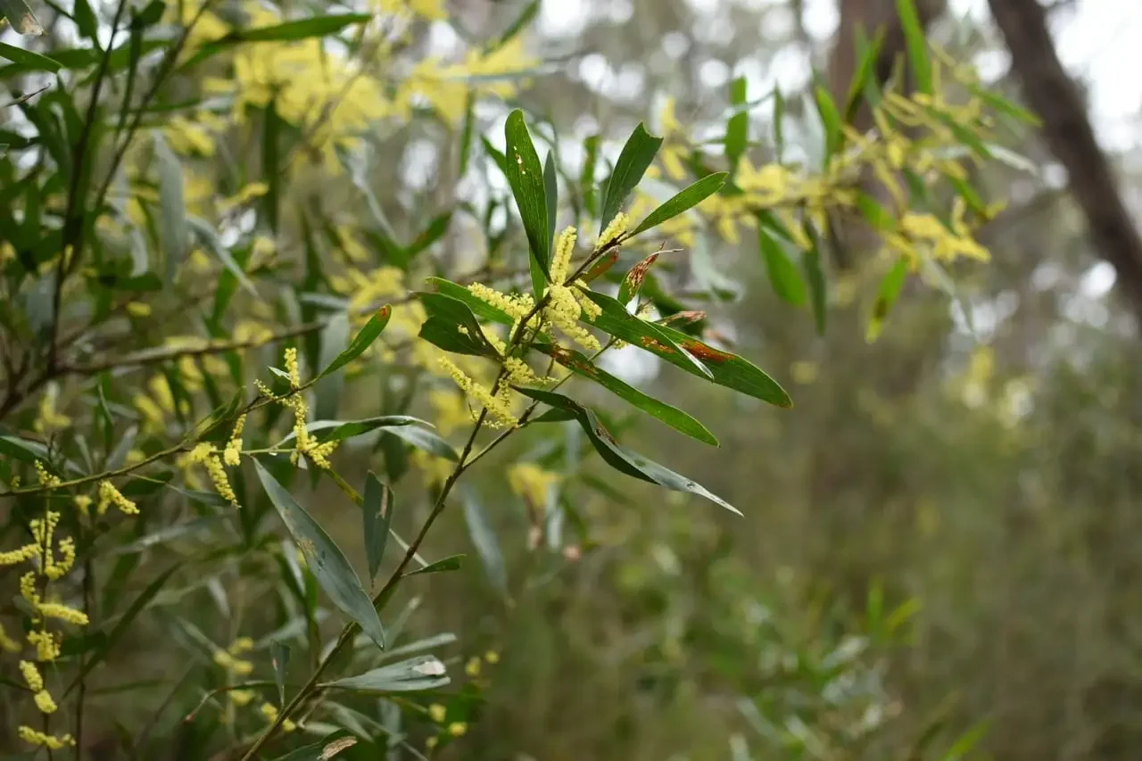 Choosing an Exceptional Unschool Life and Other Things