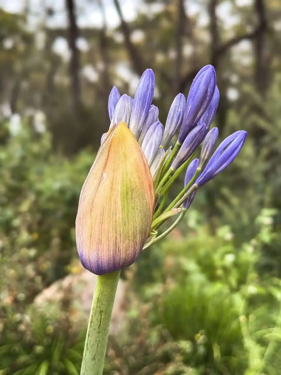 Unschoolers Taking Over the World