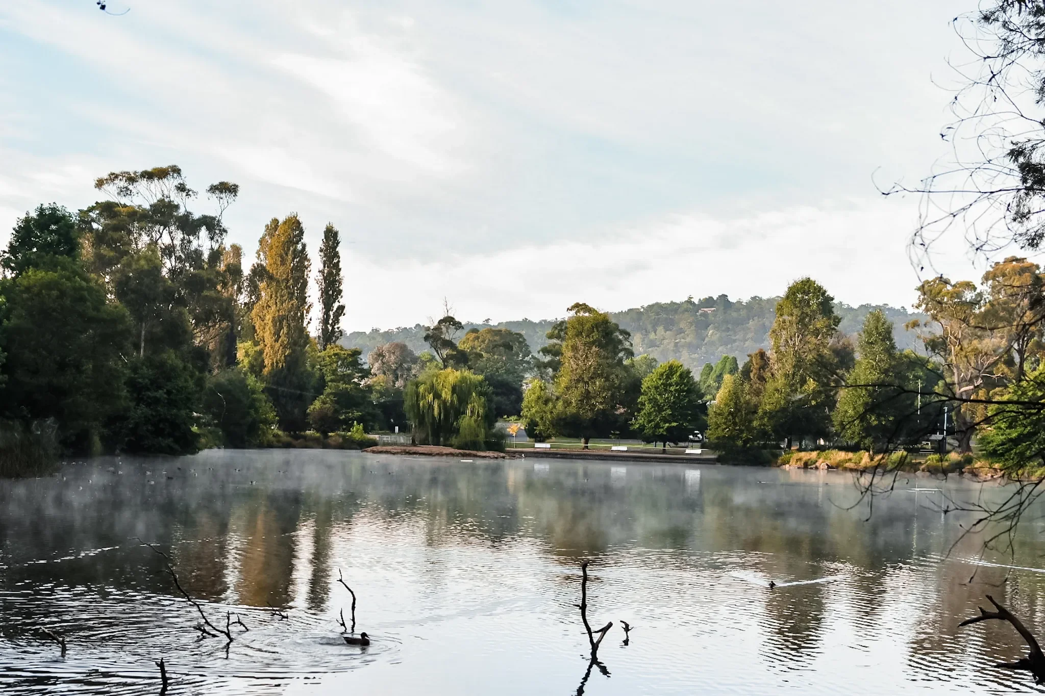 Delights: An Unschooling Challenge