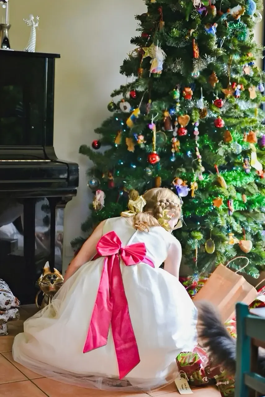 Fabulous Christmas: Gift Ideas and Traditions