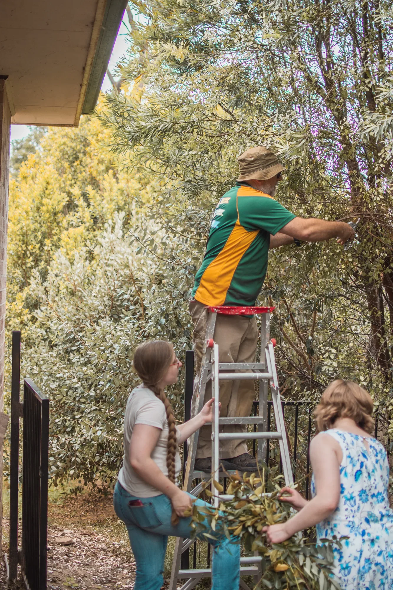 Unschool Bushfire Maths