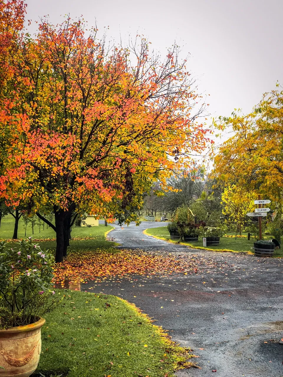 Goodbye, Stories of an Unschooling Family