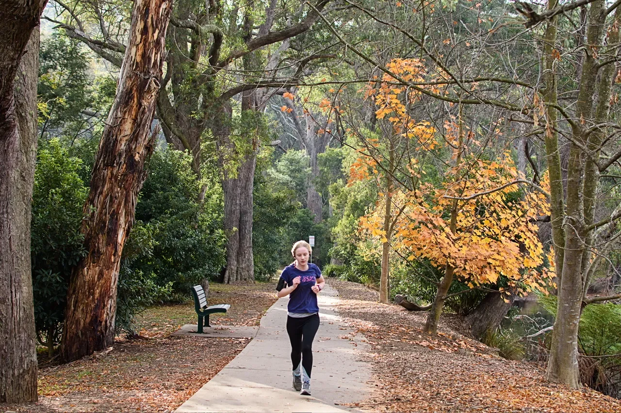 When an Unschooler Isn’t Interested in Maths