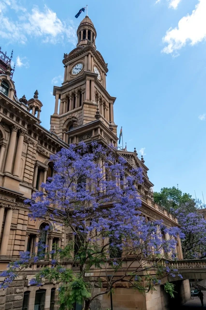 Clock Watching, Short Lessons and Curious Questions