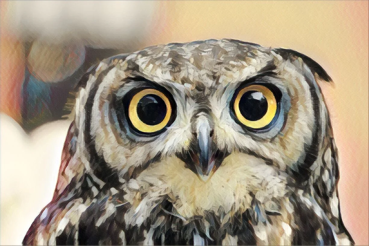 Stare Hard: An Unschooling Challenge