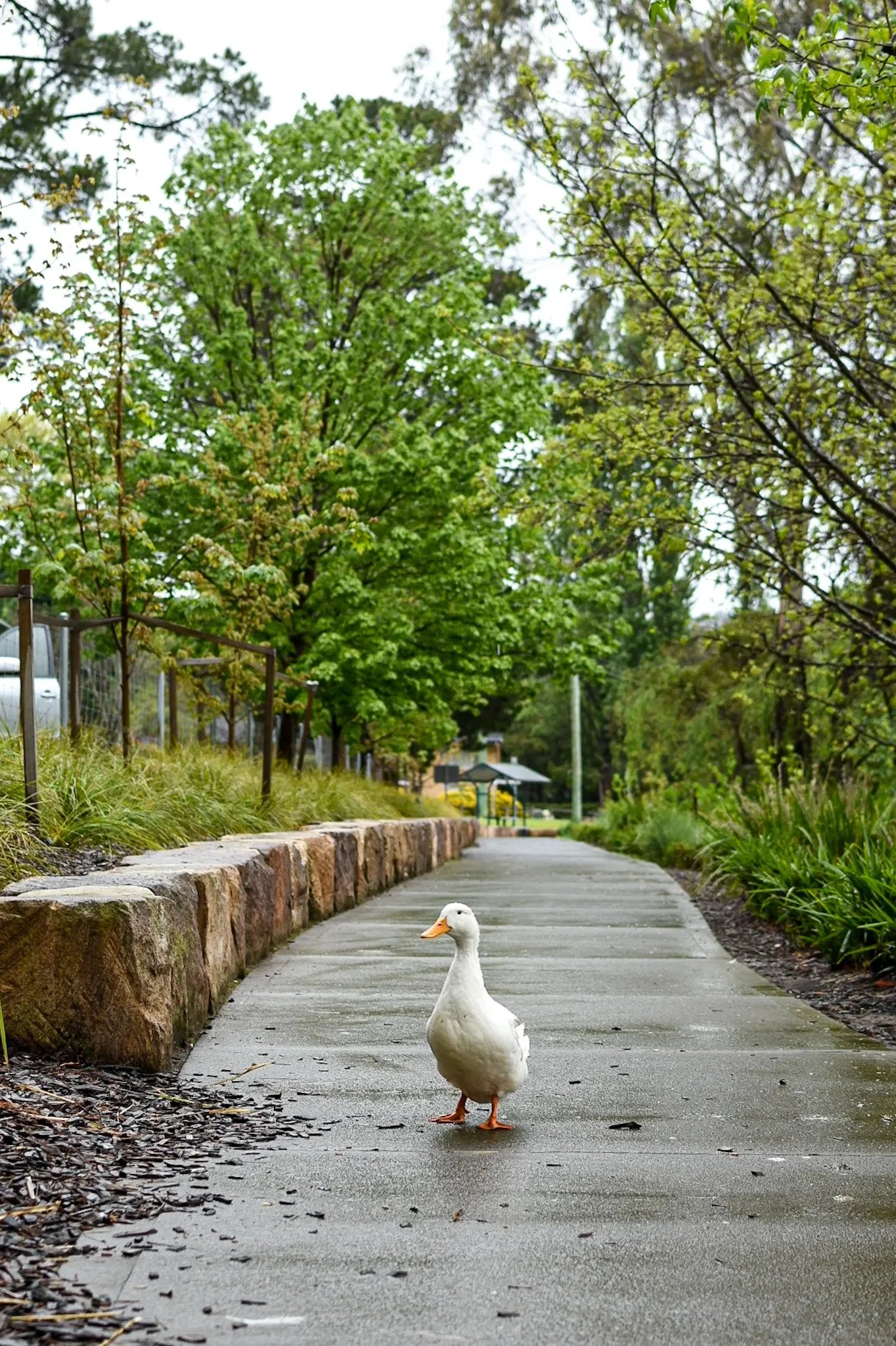 Judging and Other People’s Opinions