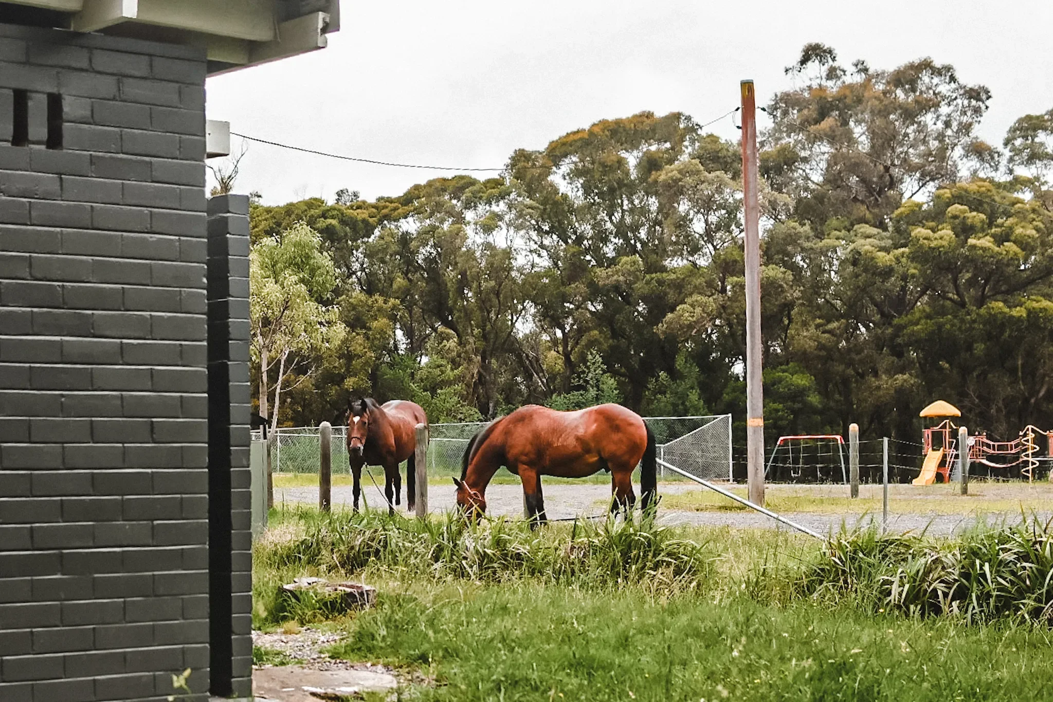 What Kind of Home Do Kids Need?