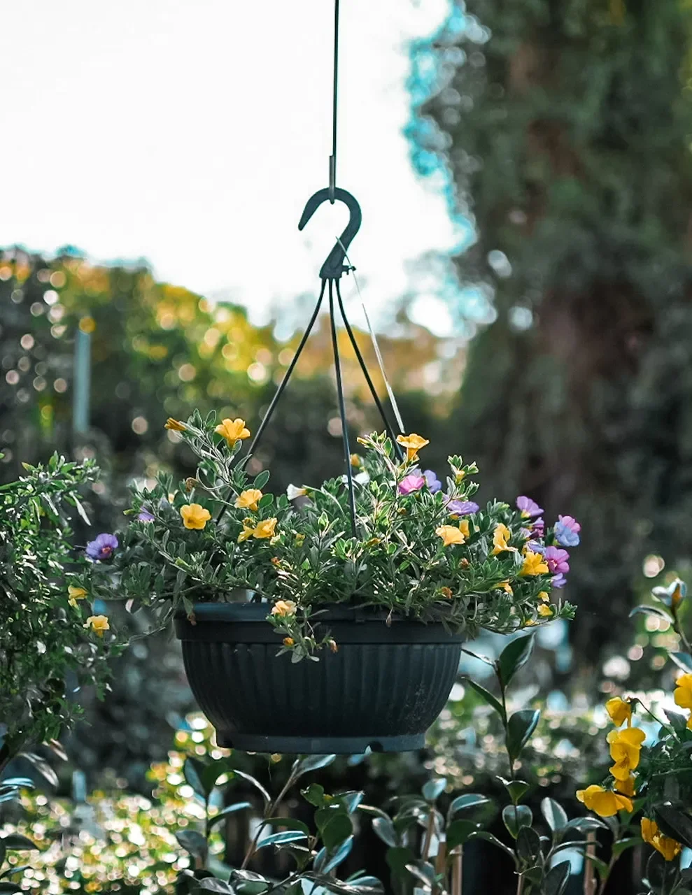 Unschooling Charlotte Mason