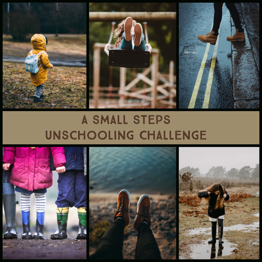 Small Steps Towards Unschooling: A Challenge