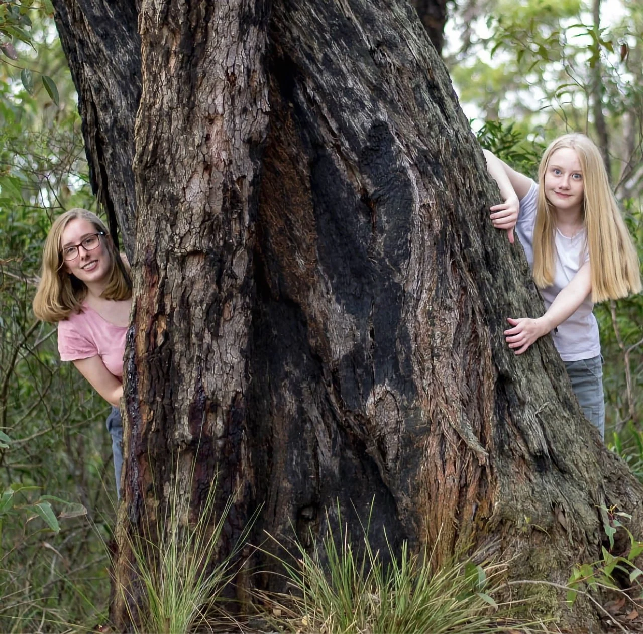 Unschooling, Attachment, and the Art of Letting Go: Building Trust Instead of Rules