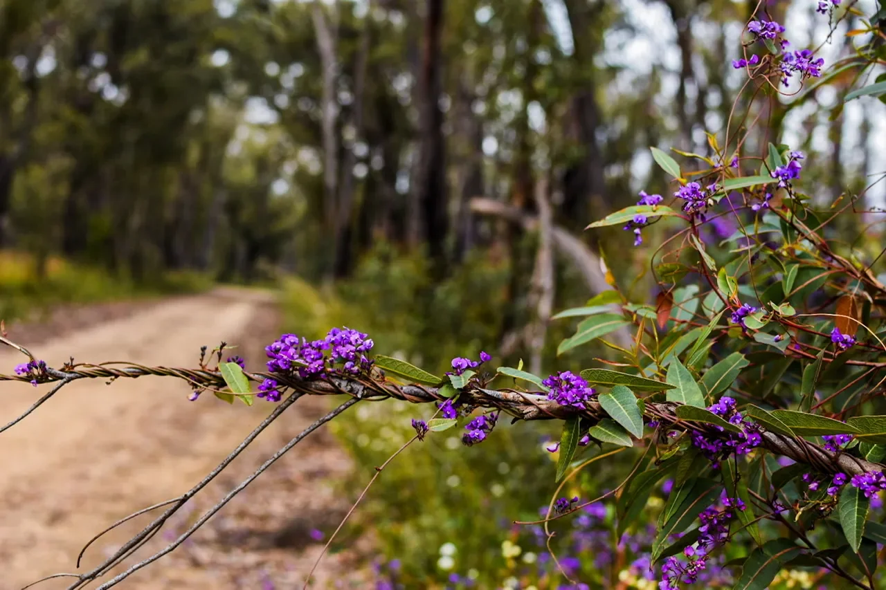 Giving Our Kids Time to Discover Who They Are