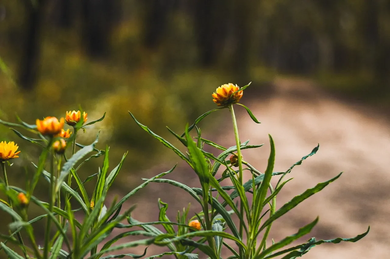 Can Video Games Be Safe Places For Our Kids (And Us)?