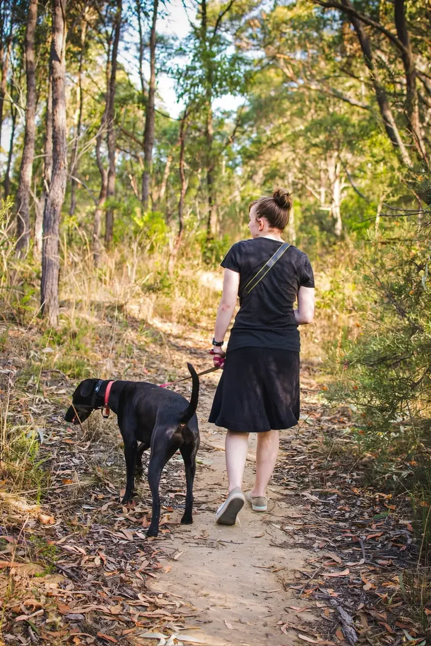 The Dead Body and Other Stories