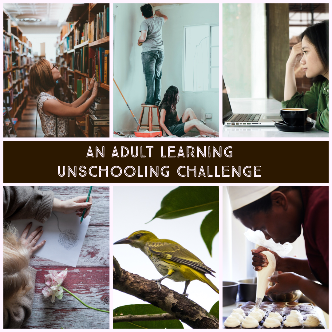 An Adult Learning Unschooling Challenge