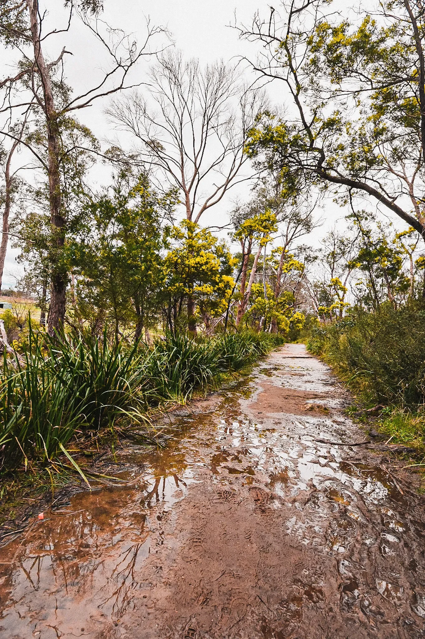 A Message We Can All Share Even if Our Unschooling Lives Aren’t Picture-Perfect