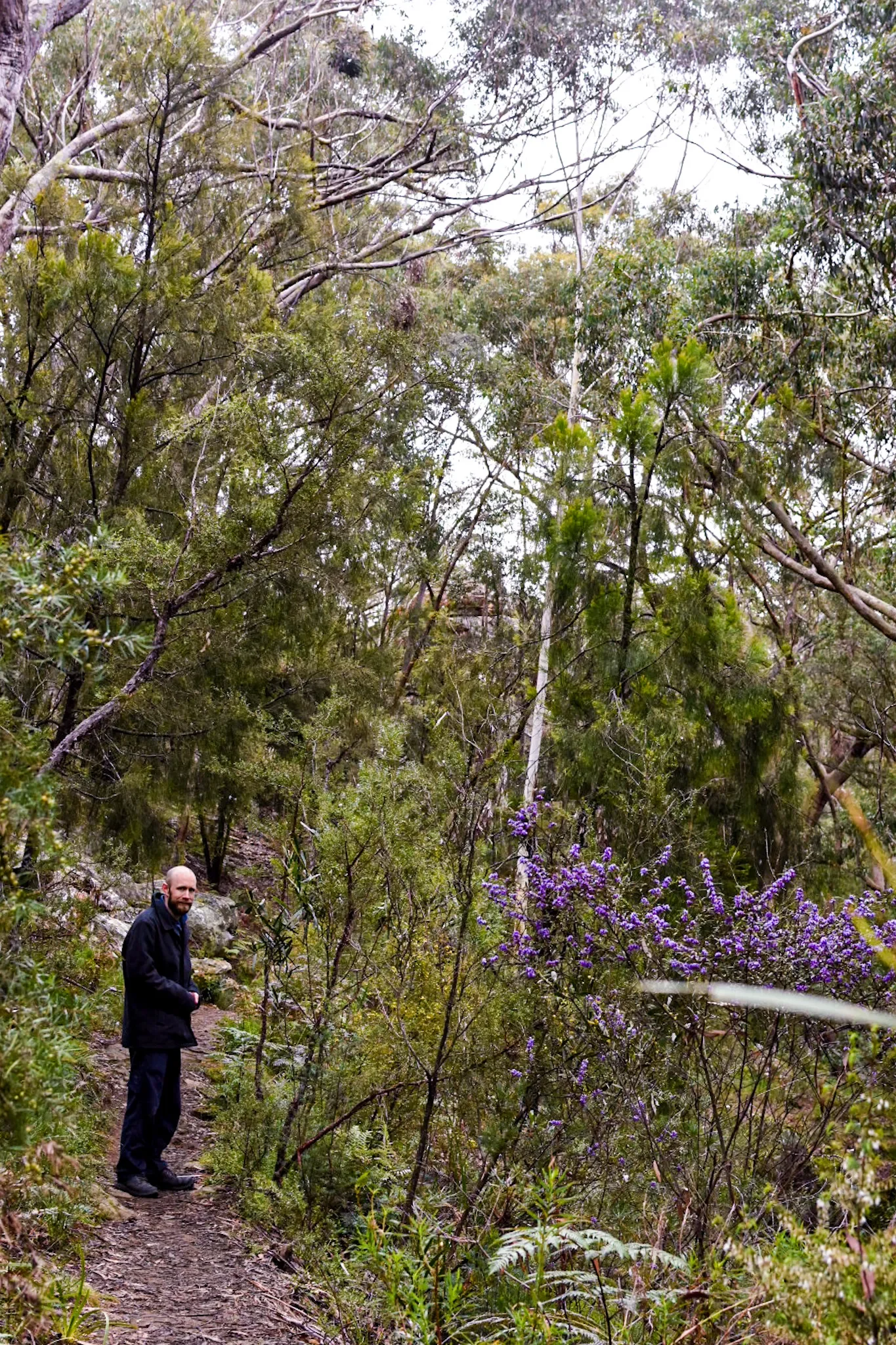 Unschooling Poster Kids