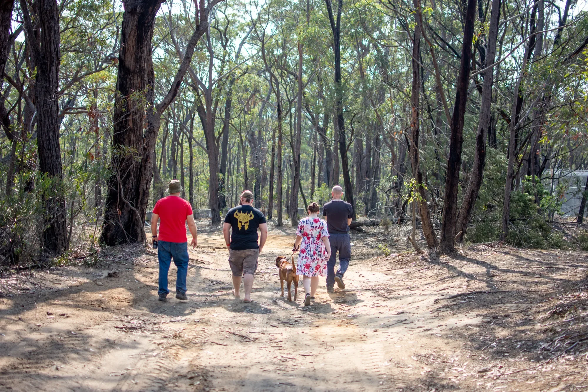 Books That Make Us Cry